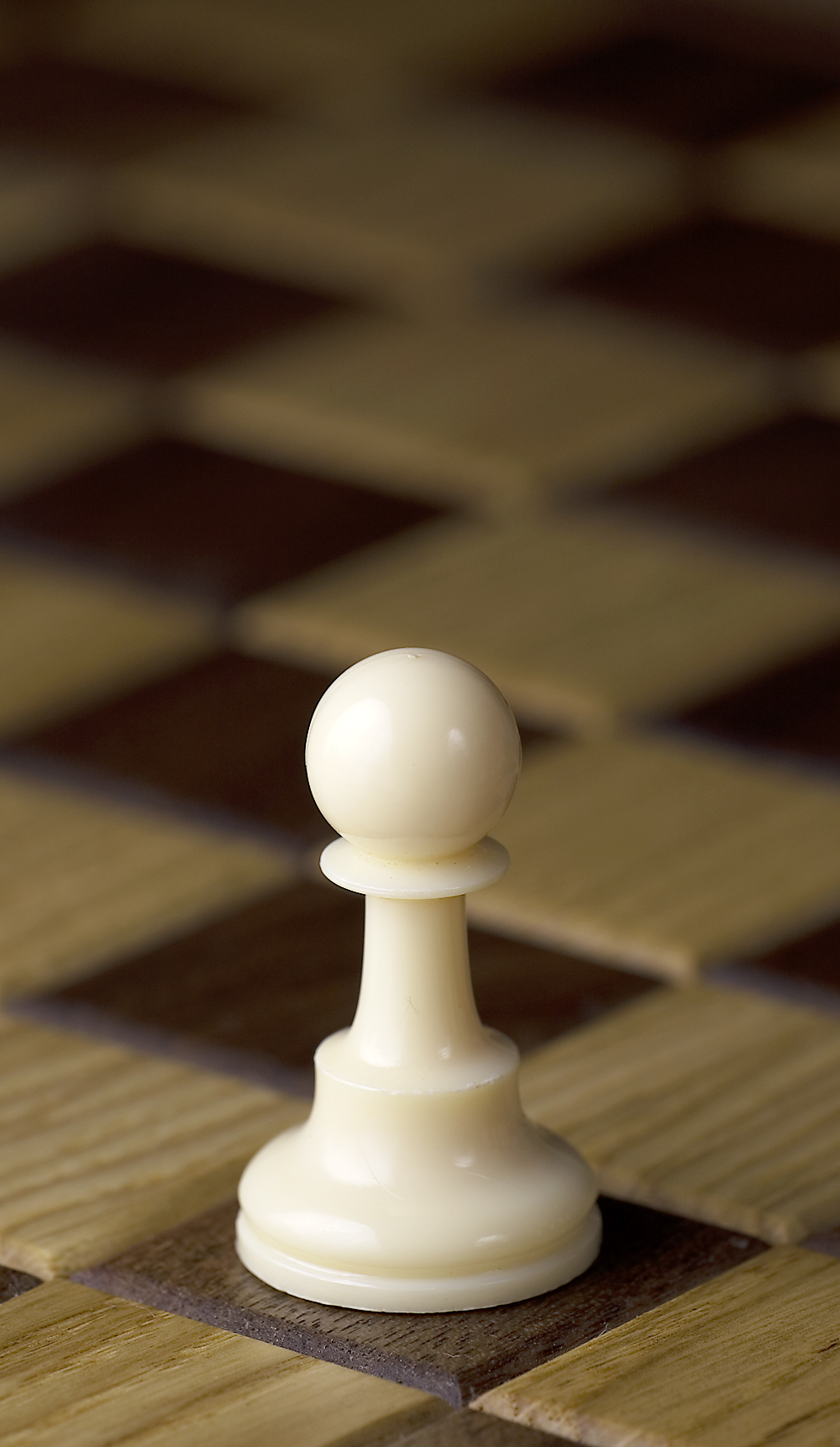 Chess_piece_-_White_pawn