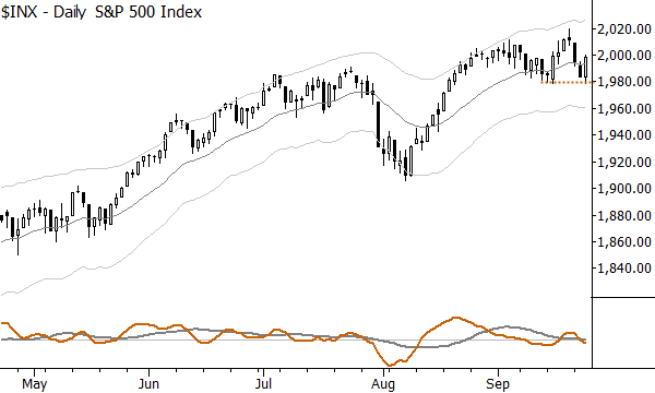 sp bounce