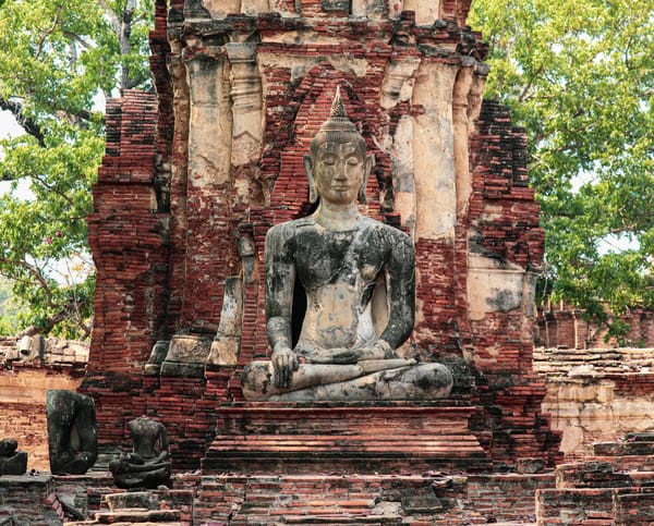 When You Meet the Buddha on the Road...
